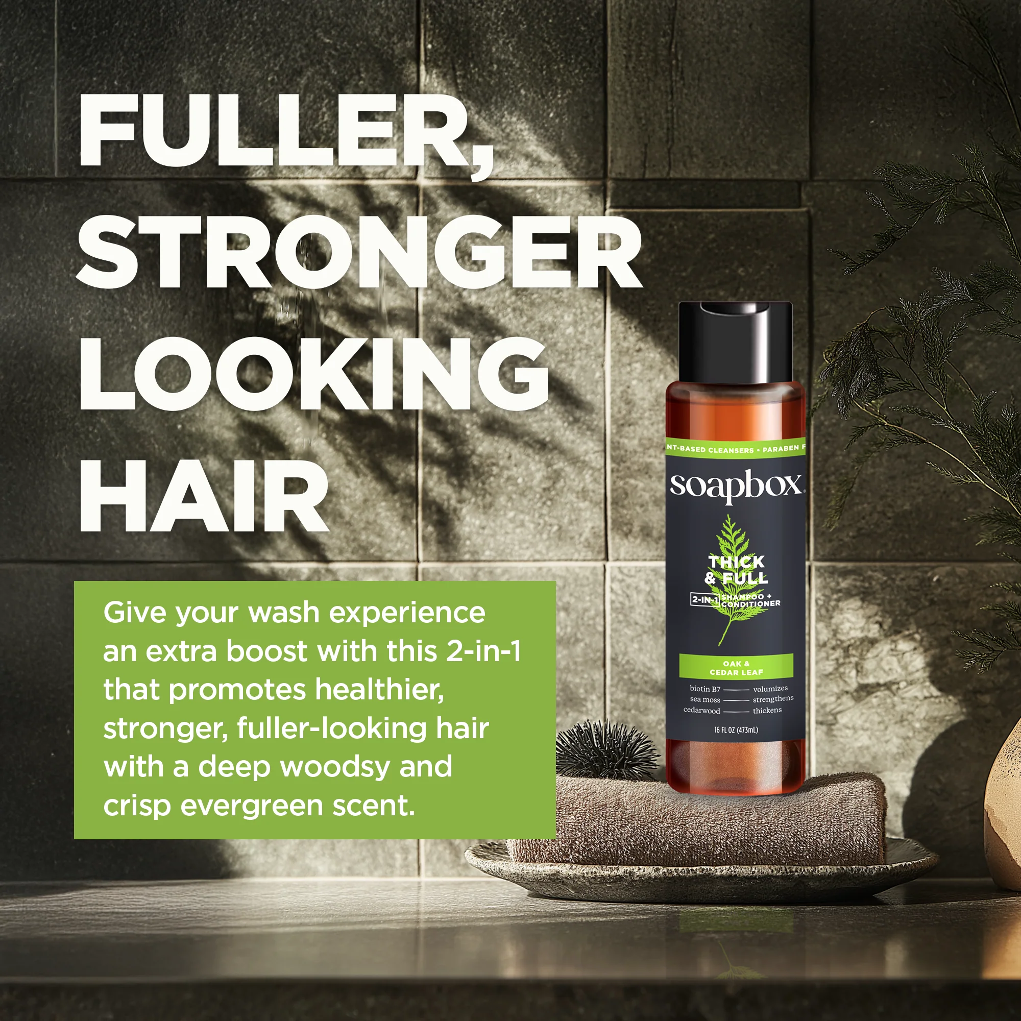 Men's Thick & Full 2-in-1 Shampoo and Conditioner - Image 3